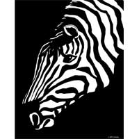 zebra posters