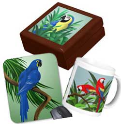 parrot gifts