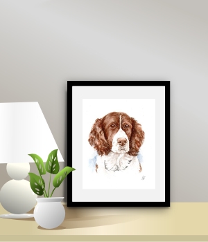 pet portraits