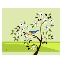 bluebird