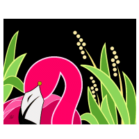 pink flamingo