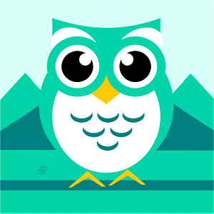 owl gifts
