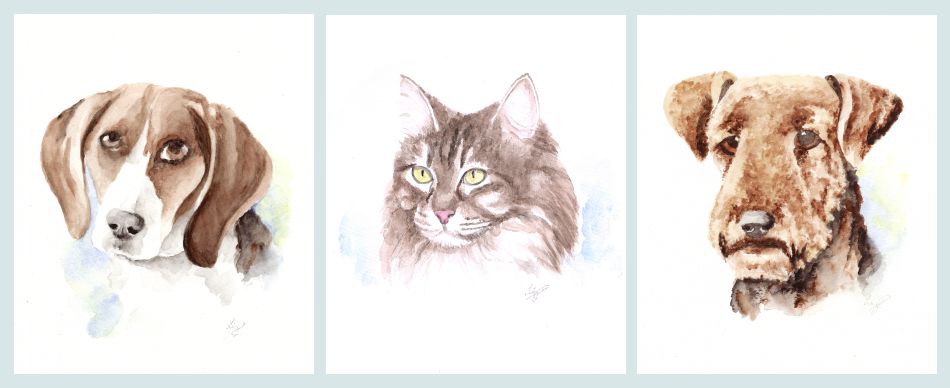 watercolor watercolor pet portraits